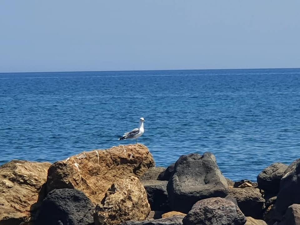 Rodothea And Adams On The Beach, Santorini Μονόλιθος Εξωτερικό φωτογραφία